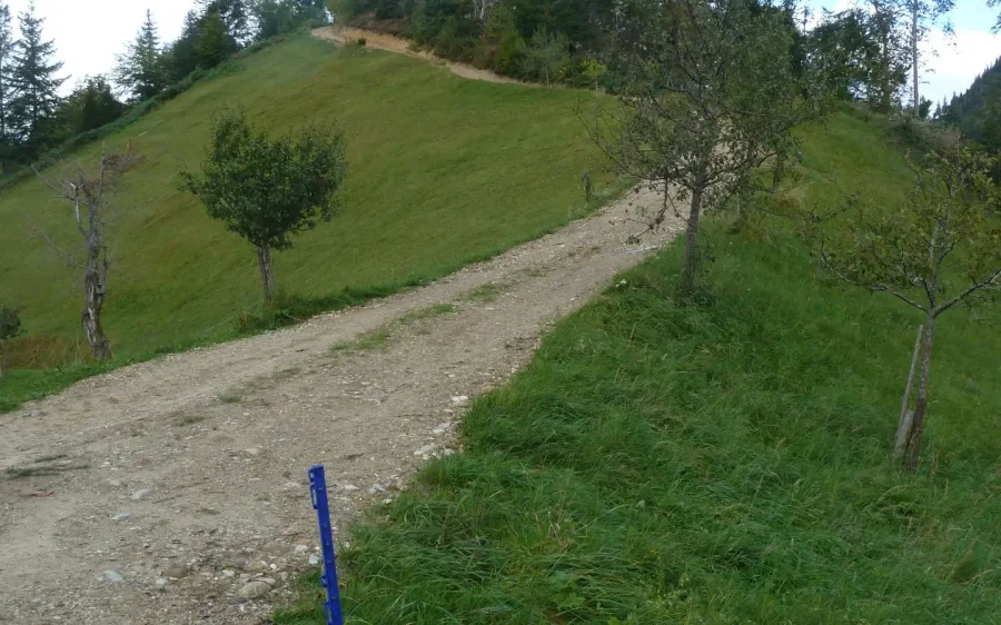 strassenwesen